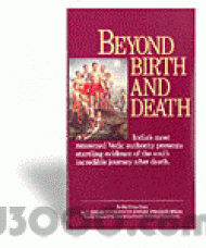 Beyond Birth and Death (Pdf) screenshot